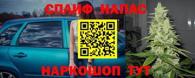 спайс Кинель