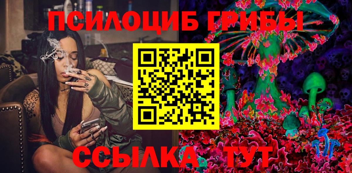 Псилоцибиновые грибы Cubensis Ростов-на-Дону