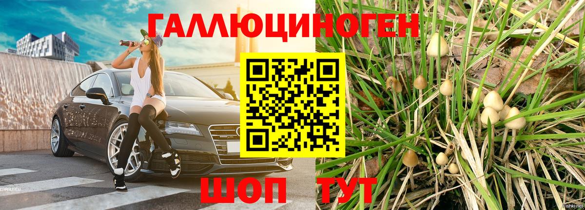 Ростов-на-Дону  Псилоцибиновые грибы MAGIC MUSHROOMS  Вход с VPN 
