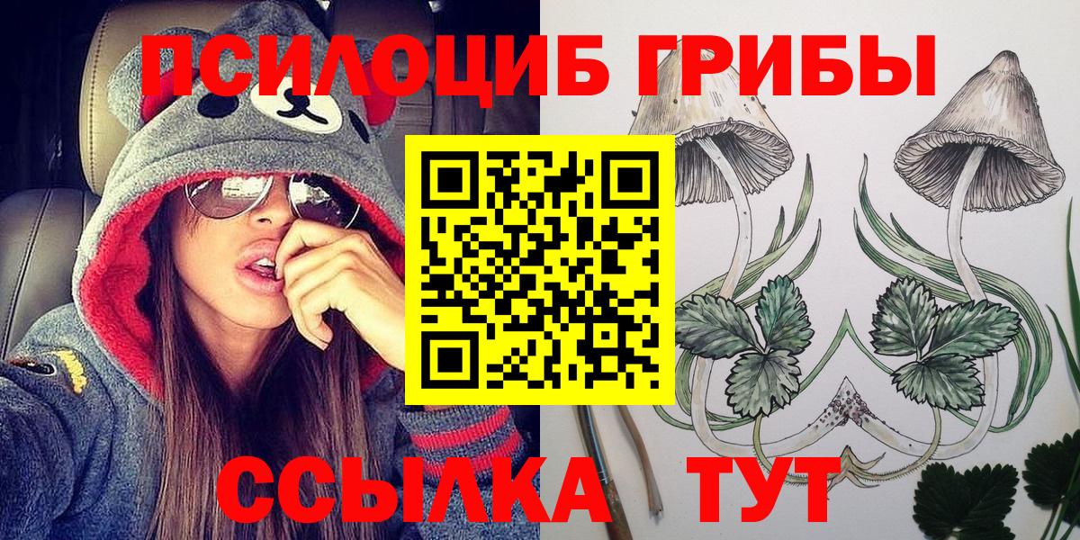 Галлюциногенные грибы Psilocybe  Псилоцибиновые грибы мицелий  Ростов-на-Дону 