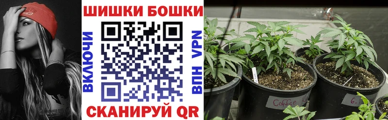 Конопля гибрид  как найти наркотики  Ростов-на-Дону 